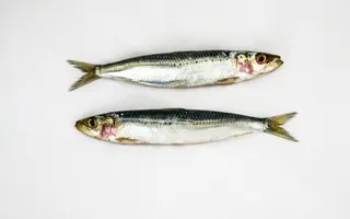 ALIMENTOS RICOS EN HIERRO