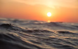 Exposición al sol – Importancia