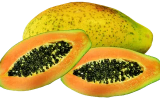 PROPIEDADES DE LA PAPAYA – BENEFICIOS