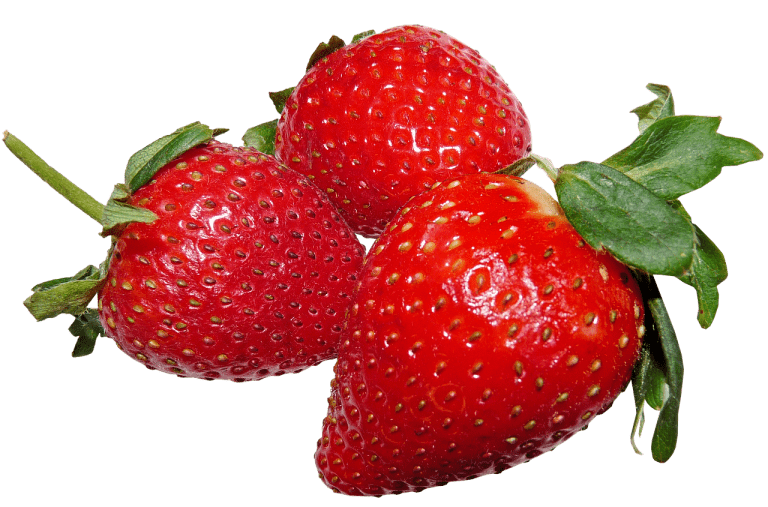 propiedades de las fresas