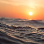 Exposición al sol – Importancia